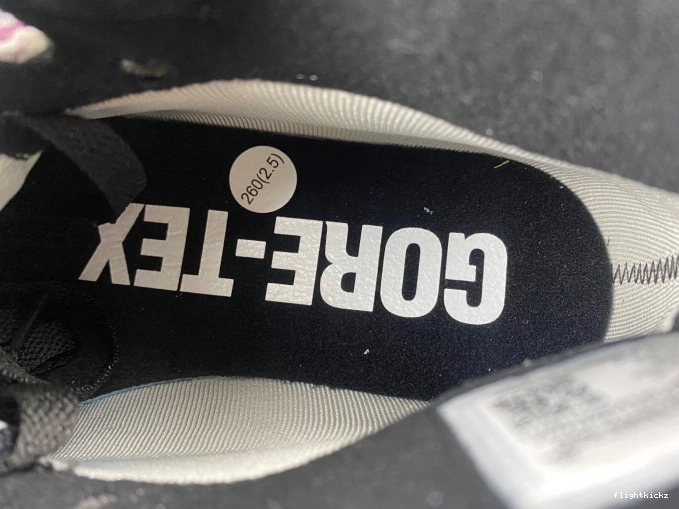 Jordan Gore-Tex Element 1 Air DB2889-500 0802